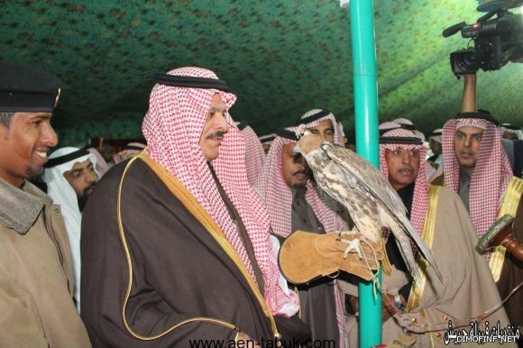 مهرجان ربيع املج بالشبحه لعام 1437هـ.