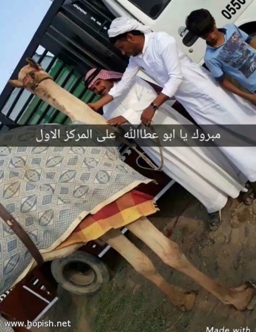 تهانينا للاخ بدر عطا الله الحبيشي