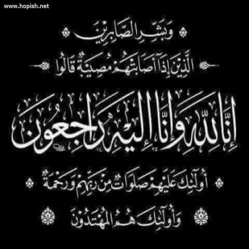 عمر مسلم سليمان  الحبيشي