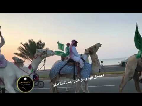 مسيرة احتفال اهالي املج والجهات الحكومية باليوم الوطني 87