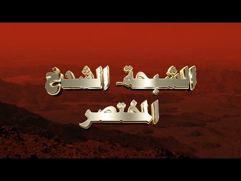 طريق الشبحة - الشدخ المختصر